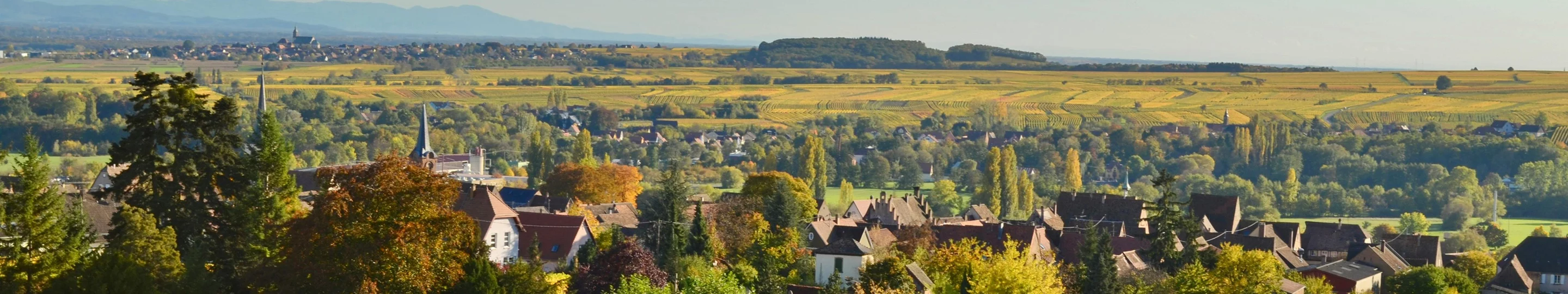 Vue panoramique d'un village alsacien illustrant le recrutement chez Barlier Immobilier